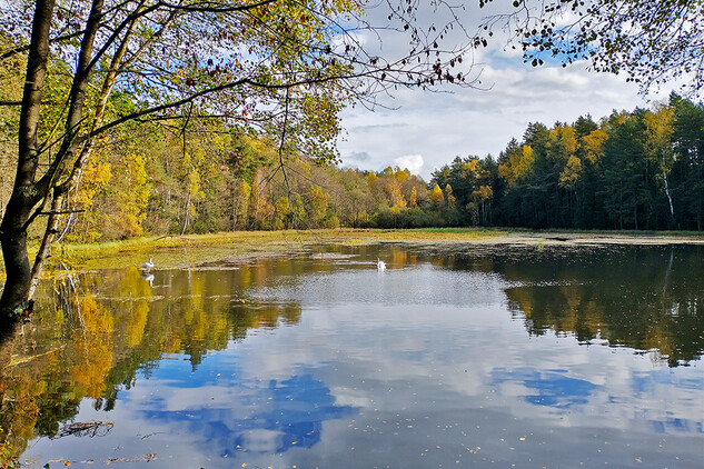 Podbořánky, Horní rybník